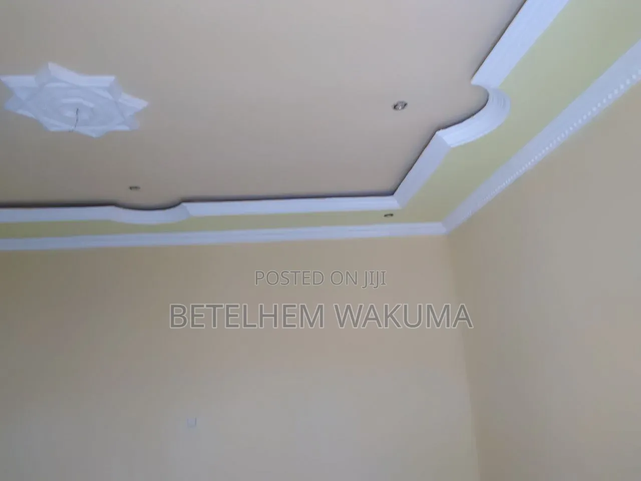Furnished 3bdrm House in Around Condominium, West Shewa for sale
