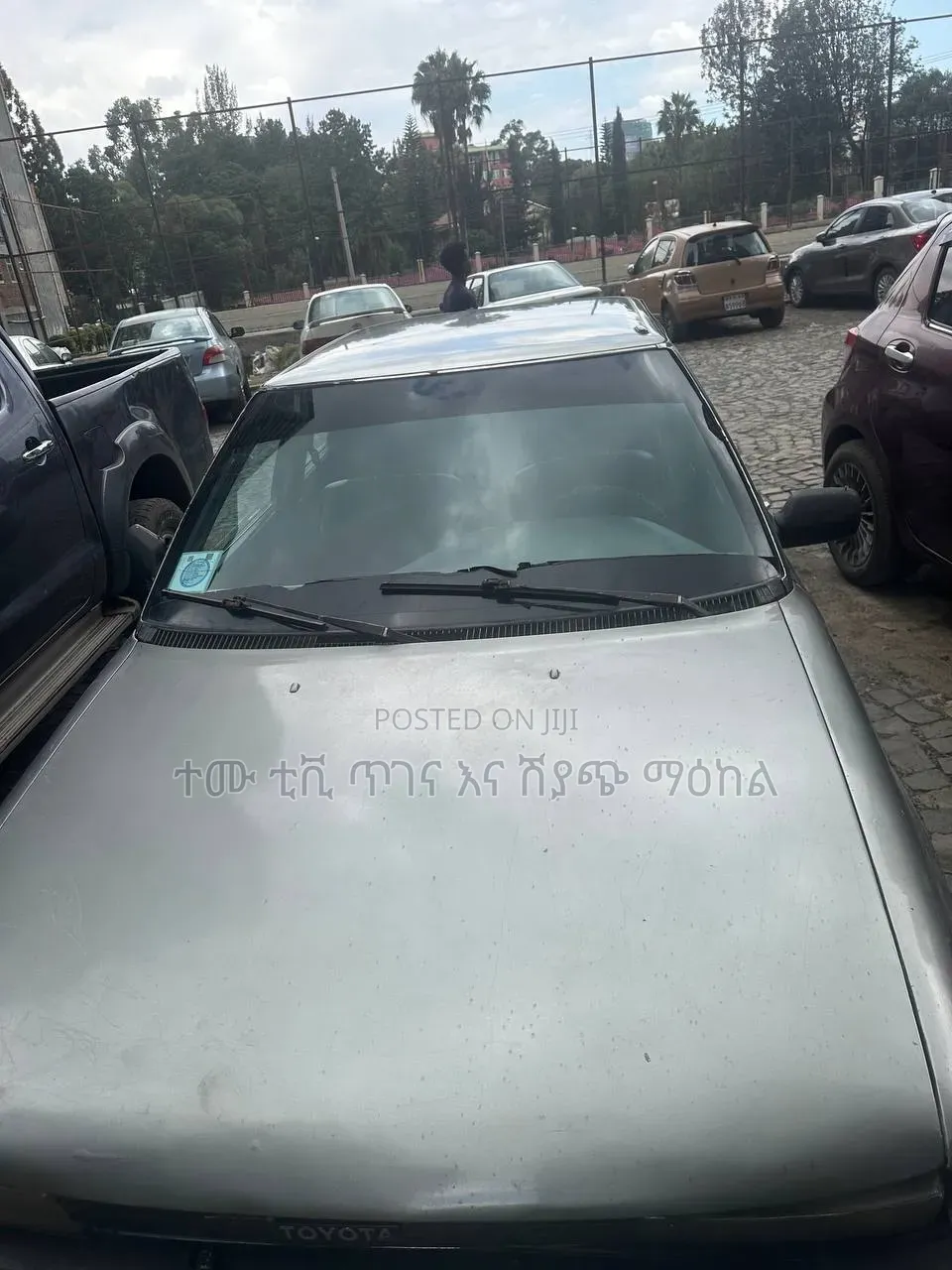 Toyota Corolla Hatchback SE 2026 Gray