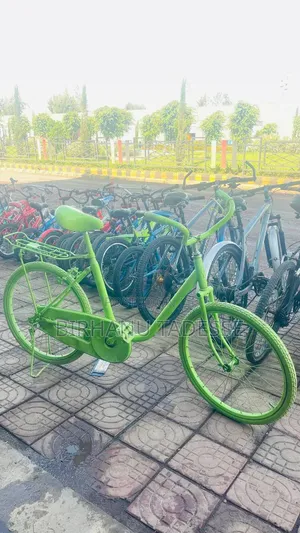 Decorative Green Bicycle | Photography & Shop Decoration