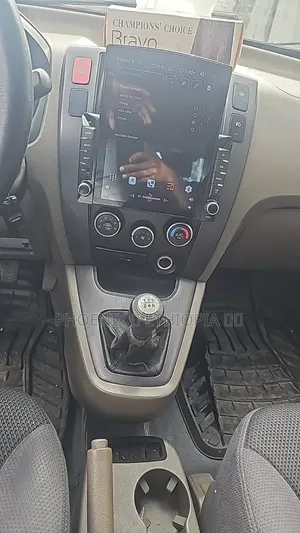 Hyundai Tucson 2009 Gray