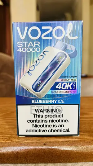 Discover the Vozol Blueberry Ice 40k Puff