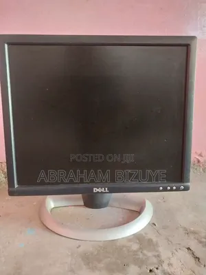 Dell 17" Monitor