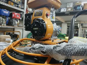 Robin Gasoline Polisher