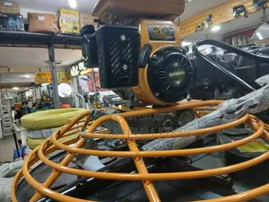 Robin Gasoline Polisher