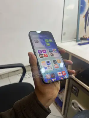 Apple iPhone 15 Pro Max 256 GB Black
