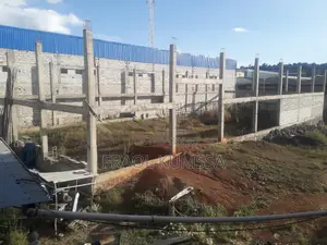 በአለም ገና ሰፊ የንግድ ግቢ ከመጋዘን ጋር ለኪራይ