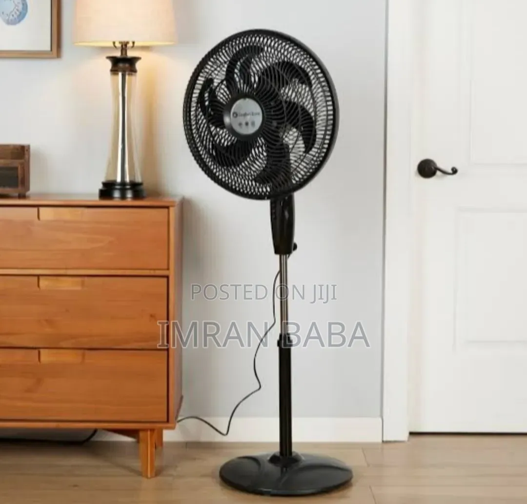 Electric Fan
