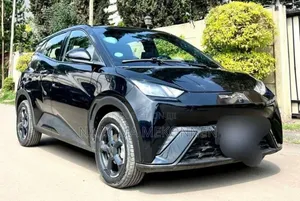 BYD Seagull 2024 Black