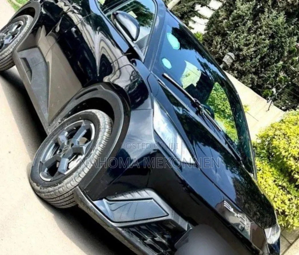 BYD Seagull 2024 Black