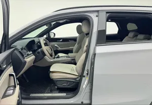 New BYD Tang DM-i 2025 Brown