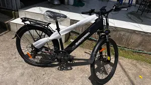 Electric Bike Evergreen