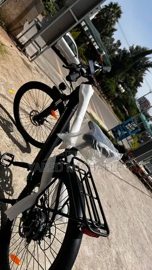 Electric Bike Evergreen