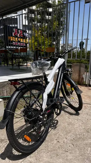 Electric Bike Evergreen