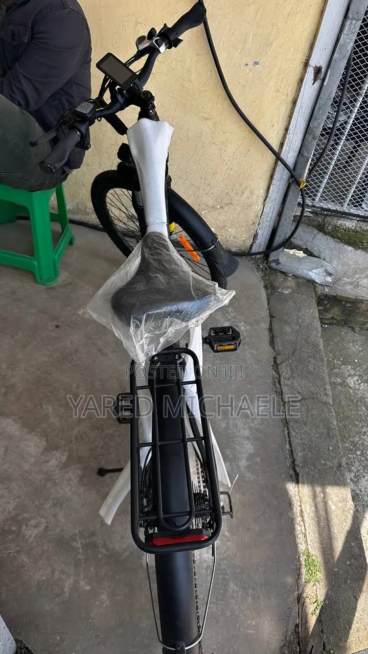 Electric Bike Evergreen