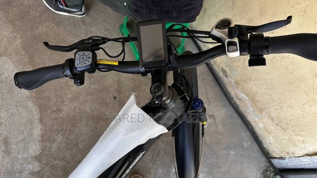 Electric Bike Evergreen
