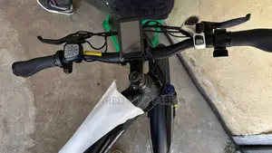 Electric Bike Evergreen