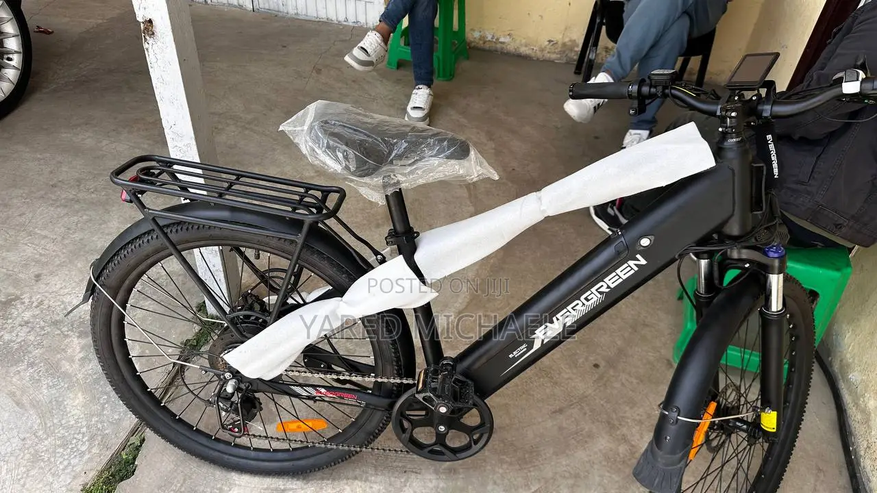 Electric Bike Evergreen