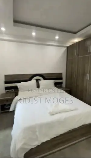 Furnished 2bdrm Apartment in Lideta for rent