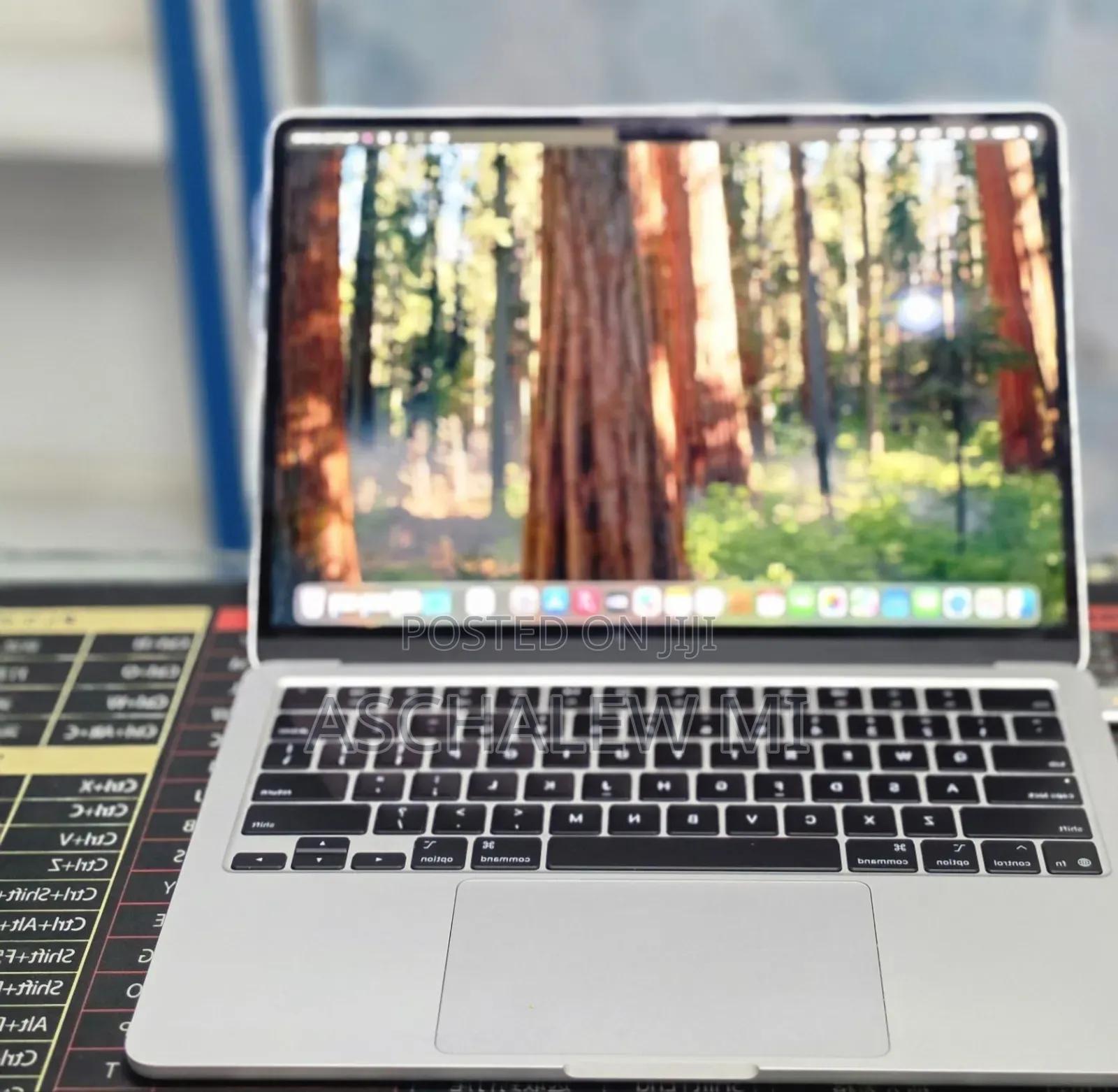New Laptop Apple MacBook Air 2025 M4 16GB Apple M4 SSD 256GB