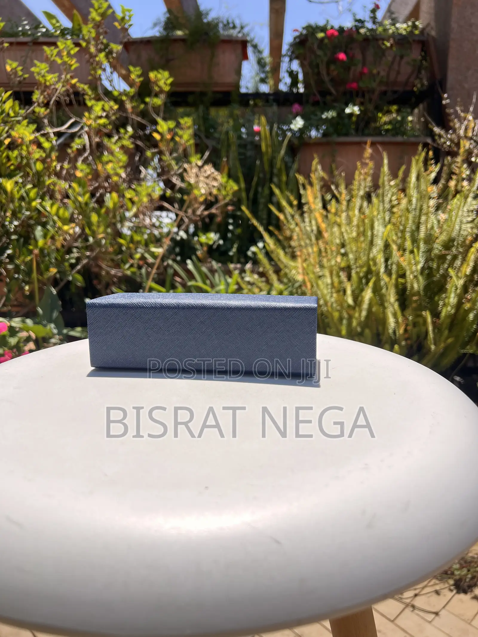 Smart AI Glasses