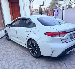 Toyota Corolla 2023 White