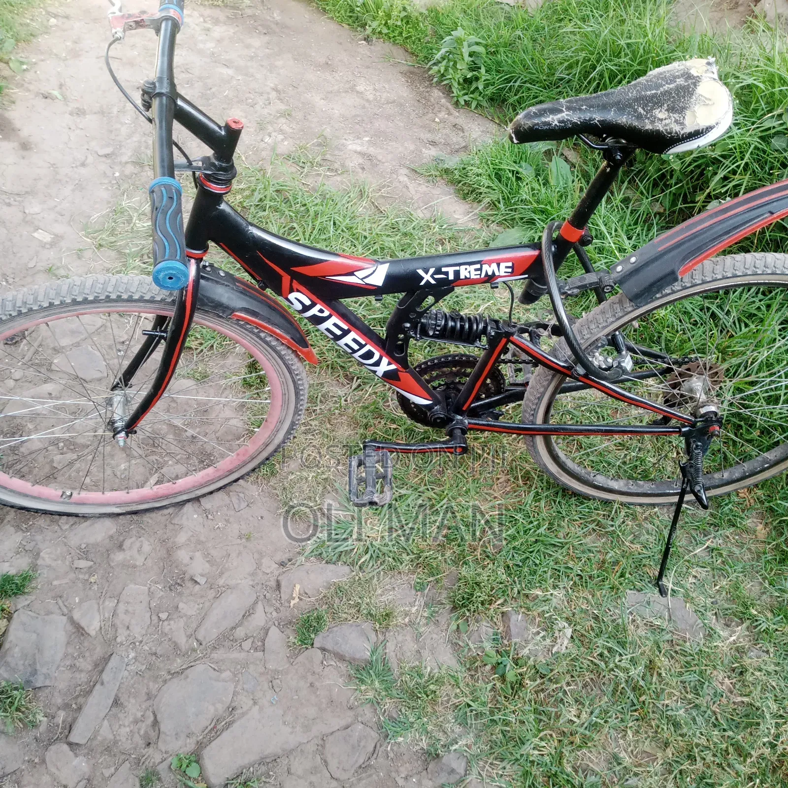 Spring Bike
