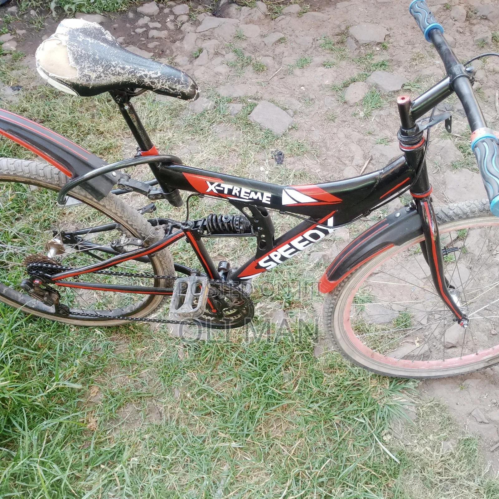 Spring Bike