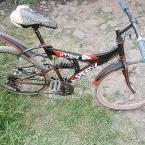 Spring Bike