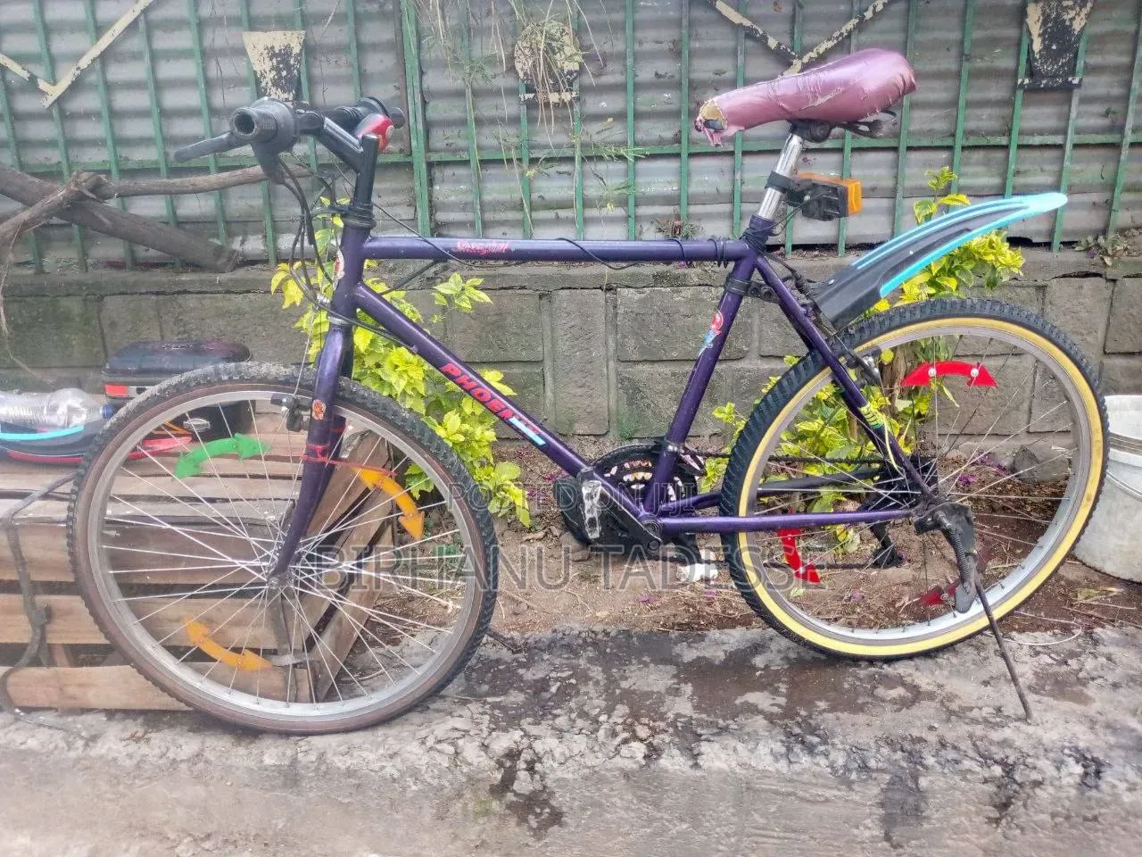  PHOENIX Bike | ብስክሌት
