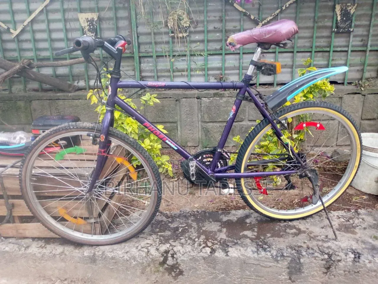  PHOENIX Bike | ብስክሌት