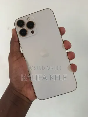 Apple iPhone 13 Pro Max 256 GB