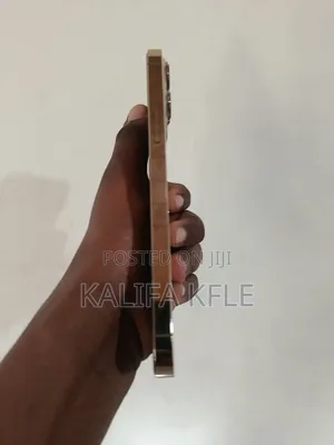Apple iPhone 13 Pro Max 256 GB