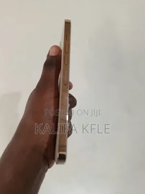 Apple iPhone 13 Pro Max 256 GB