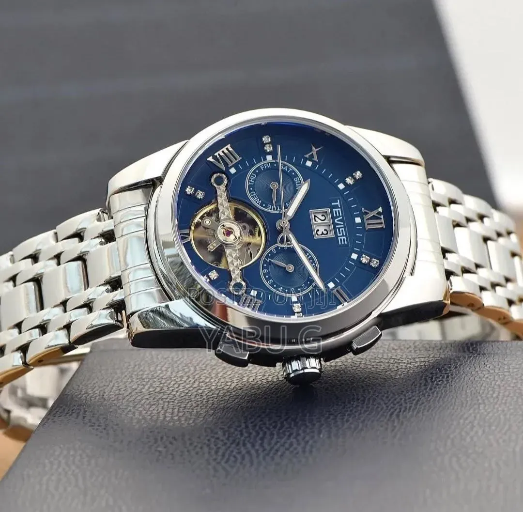Tevise Luxury Luminous Automatic Stainless Steel Men's Watch