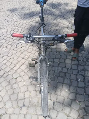 Bike Mountain Cat