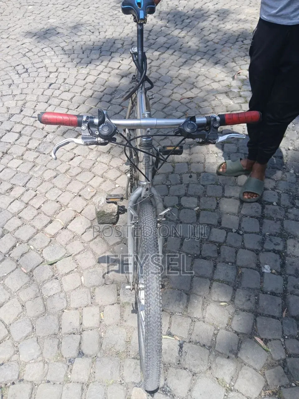 Bike Mountain Cat