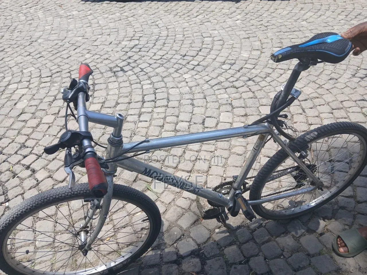 Bike Mountain Cat