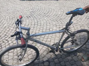 Bike Mountain Cat