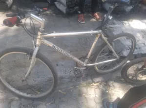 Bike Mountain Cat