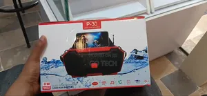 P-30 Speaker
