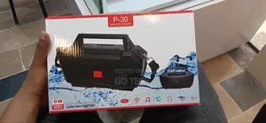 P-30 Speaker