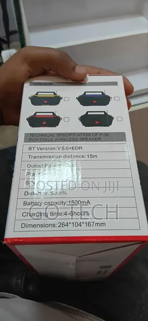 P-30 Speaker
