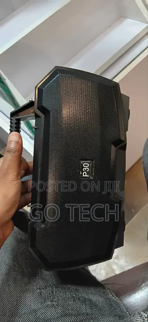 P-30 Speaker
