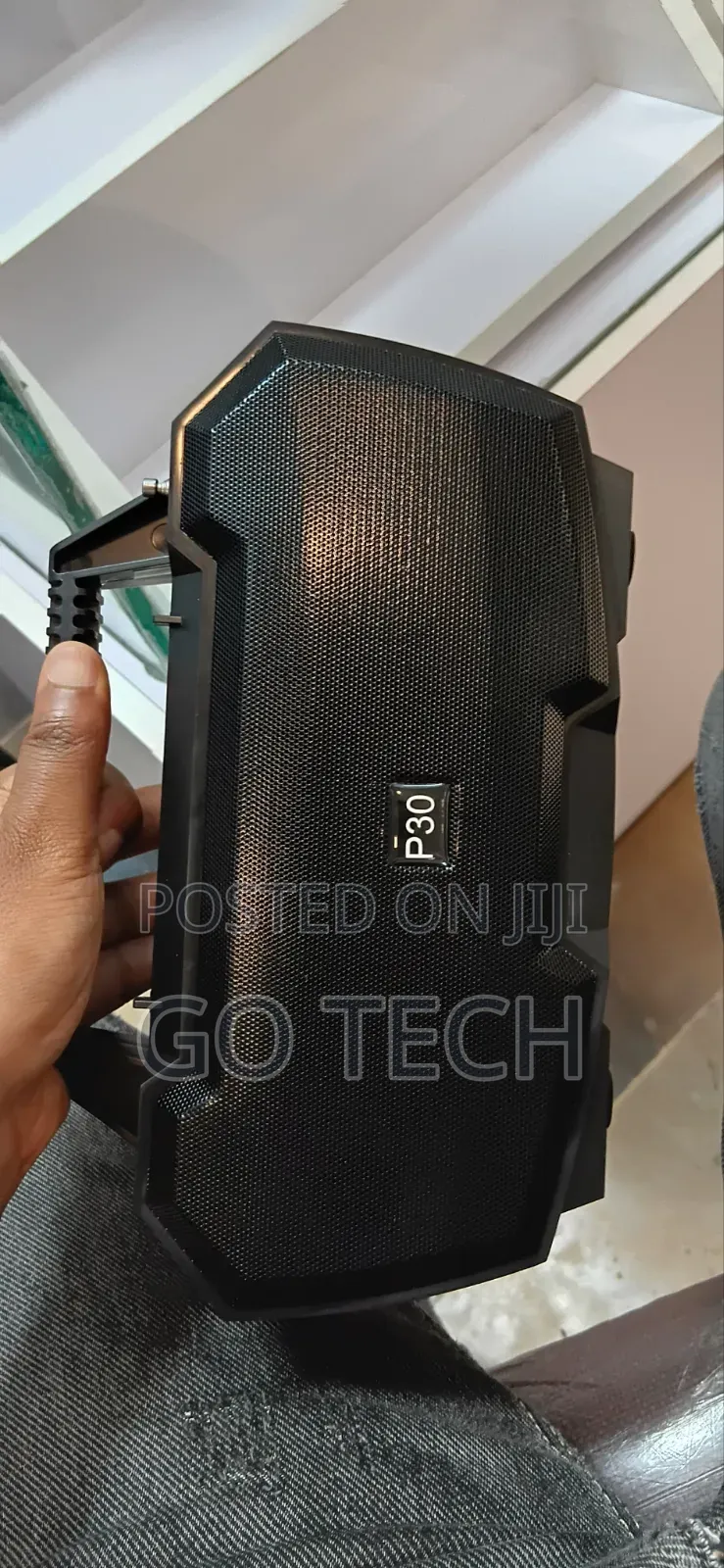 P-30 Speaker