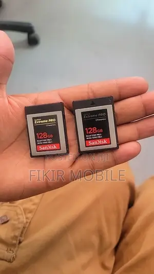 San Disk Camera Memory
