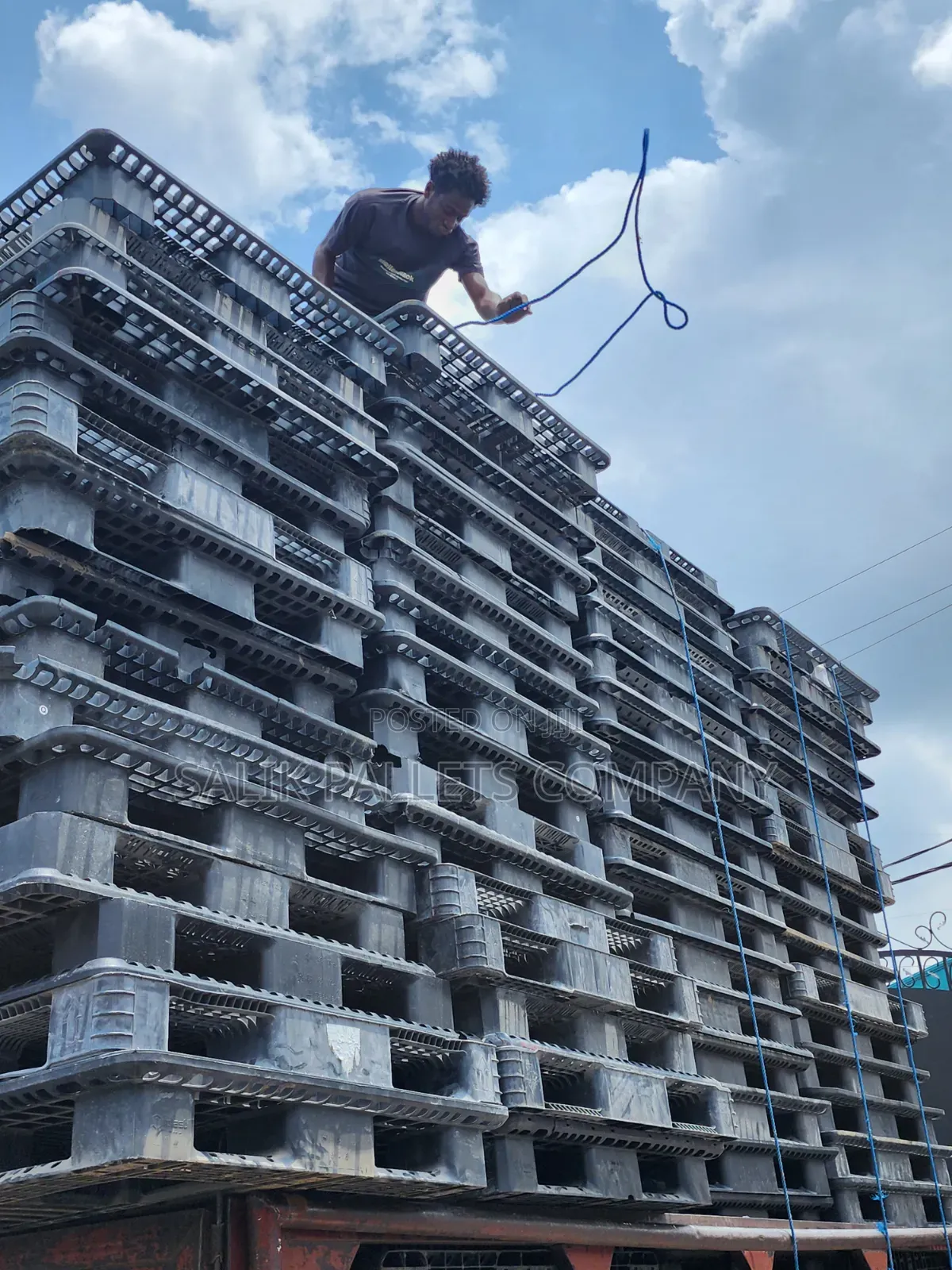 Plastic Plastic Pallet