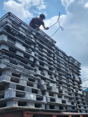Plastic Plastic Pallet