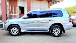 Toyota Land Cruiser 2010 Silver