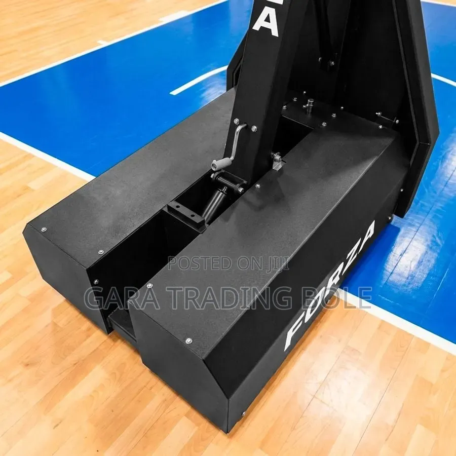 Heavy-Duty Basketball Hoop With Backboard and Stand
