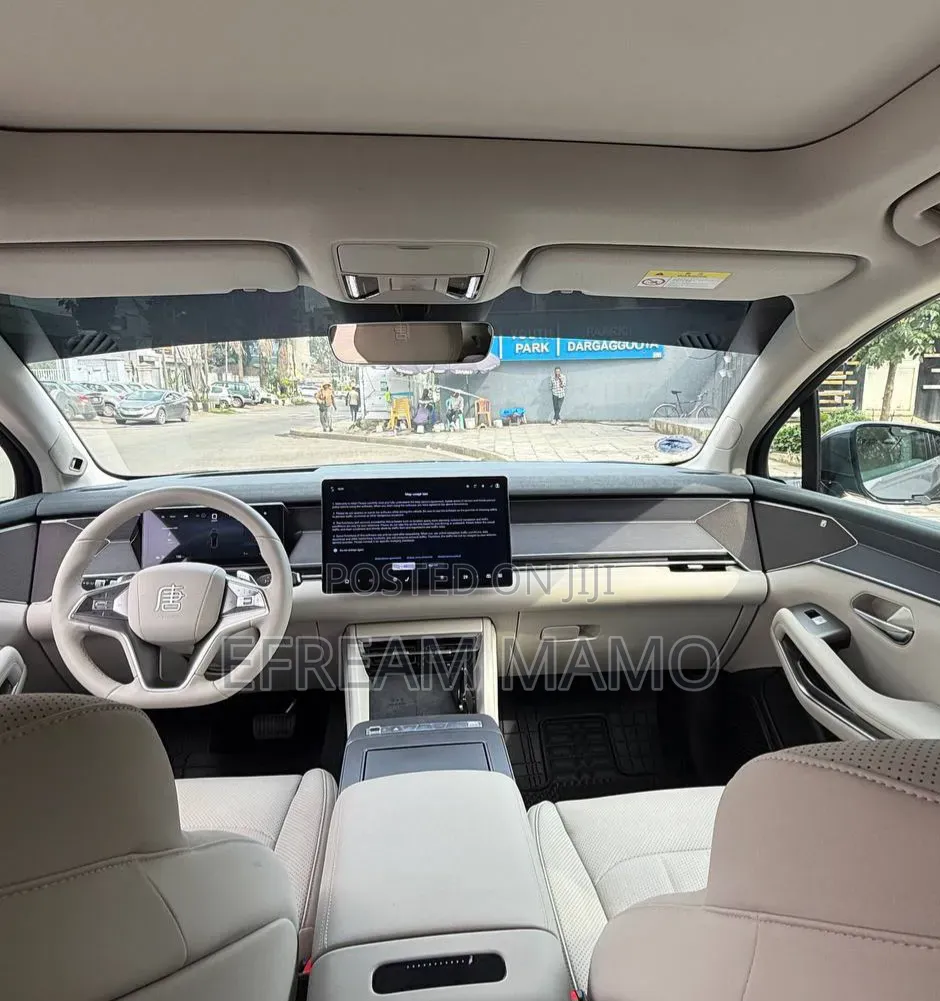 BYD Tang EV 2025